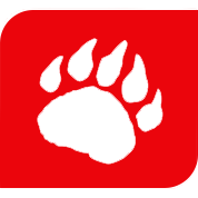 Polar Print